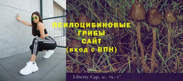 МДПВ Верея