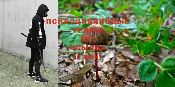 МДПВ Верея
