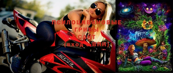 a pvp Володарск