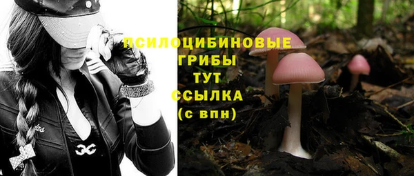 a pvp Володарск