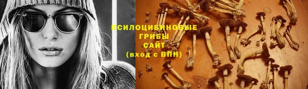 МДПВ Верея